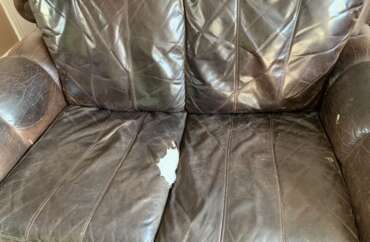 Pet Damage Leather Repair