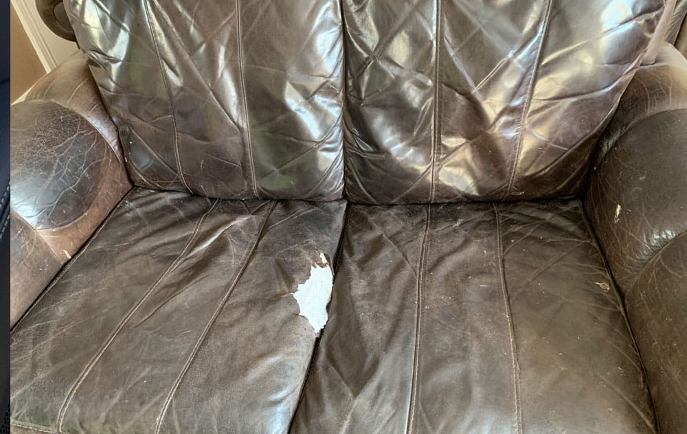 Pet Damage Leather Repair